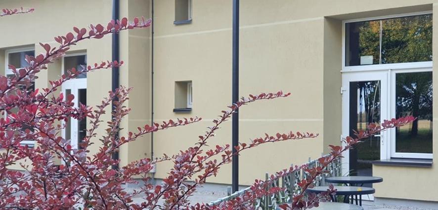 Kaimo Turizmo Sodyba "Puozo Sodyba" Puožas Exterior foto